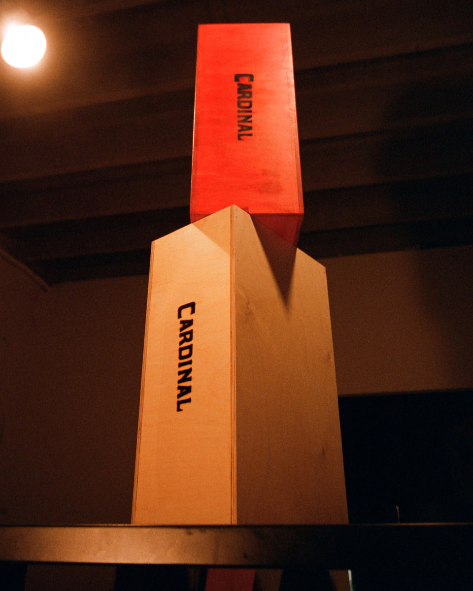 BIRDBOX – Cardinal Film Lab